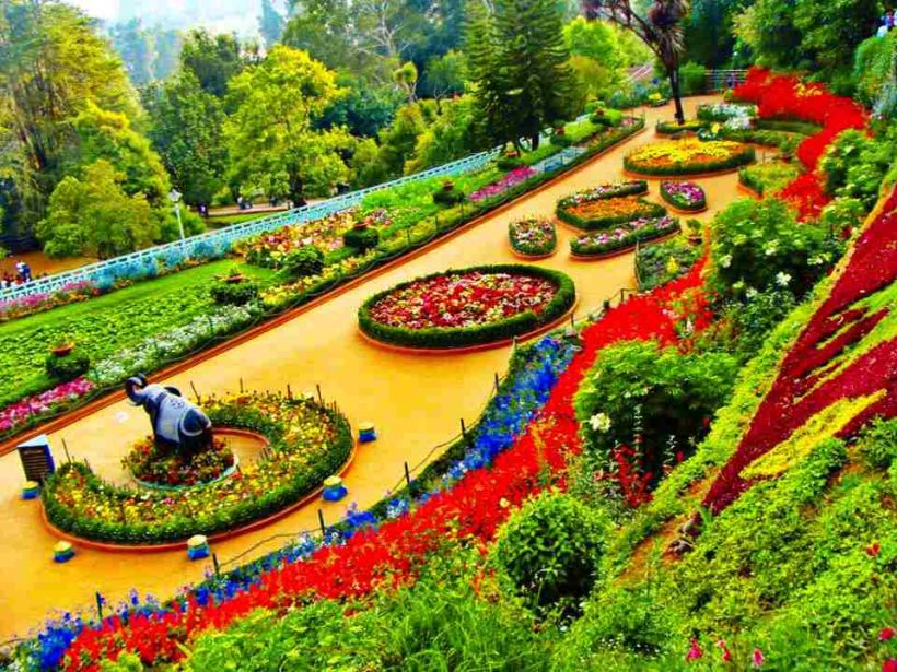 Ooty-compressed-1